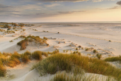 Dünenlandschaft Amrum 2