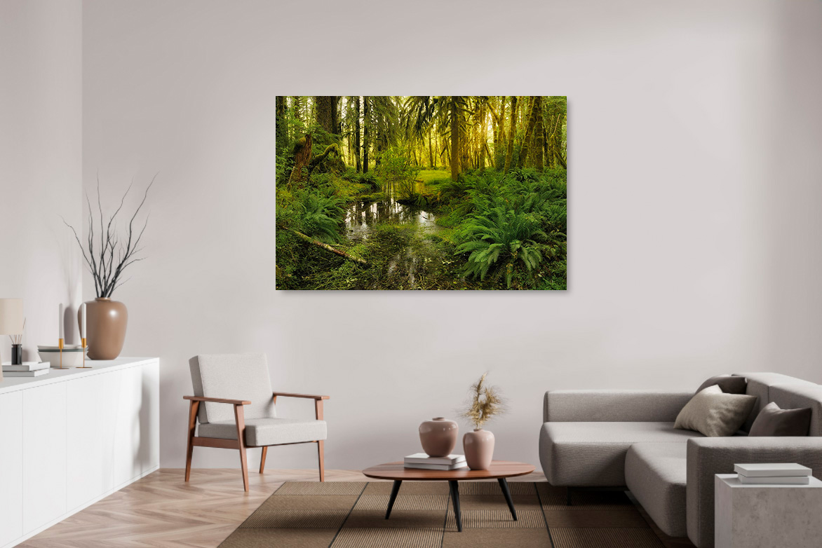 Regenwald 1 – Bild 2