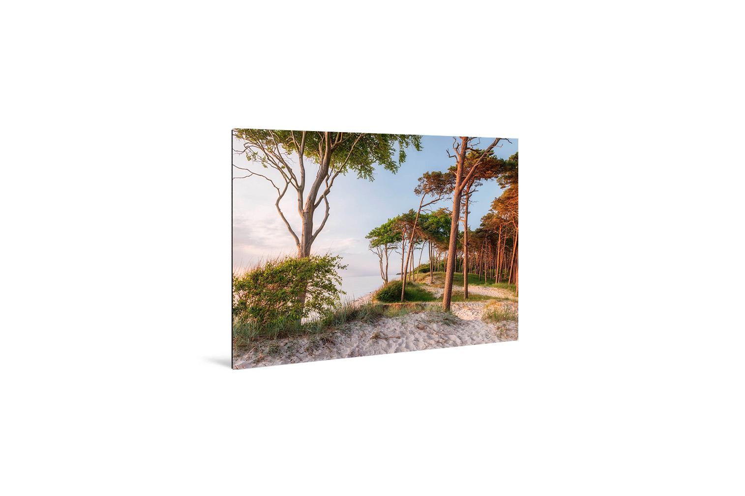Weststrand Darss 3 – Bild 3