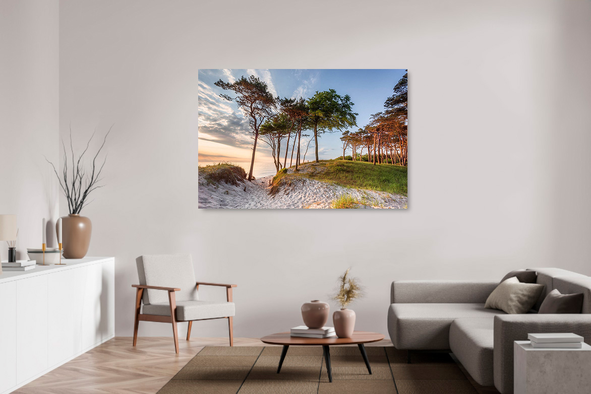 Weststrand Darss 2 – Bild 2