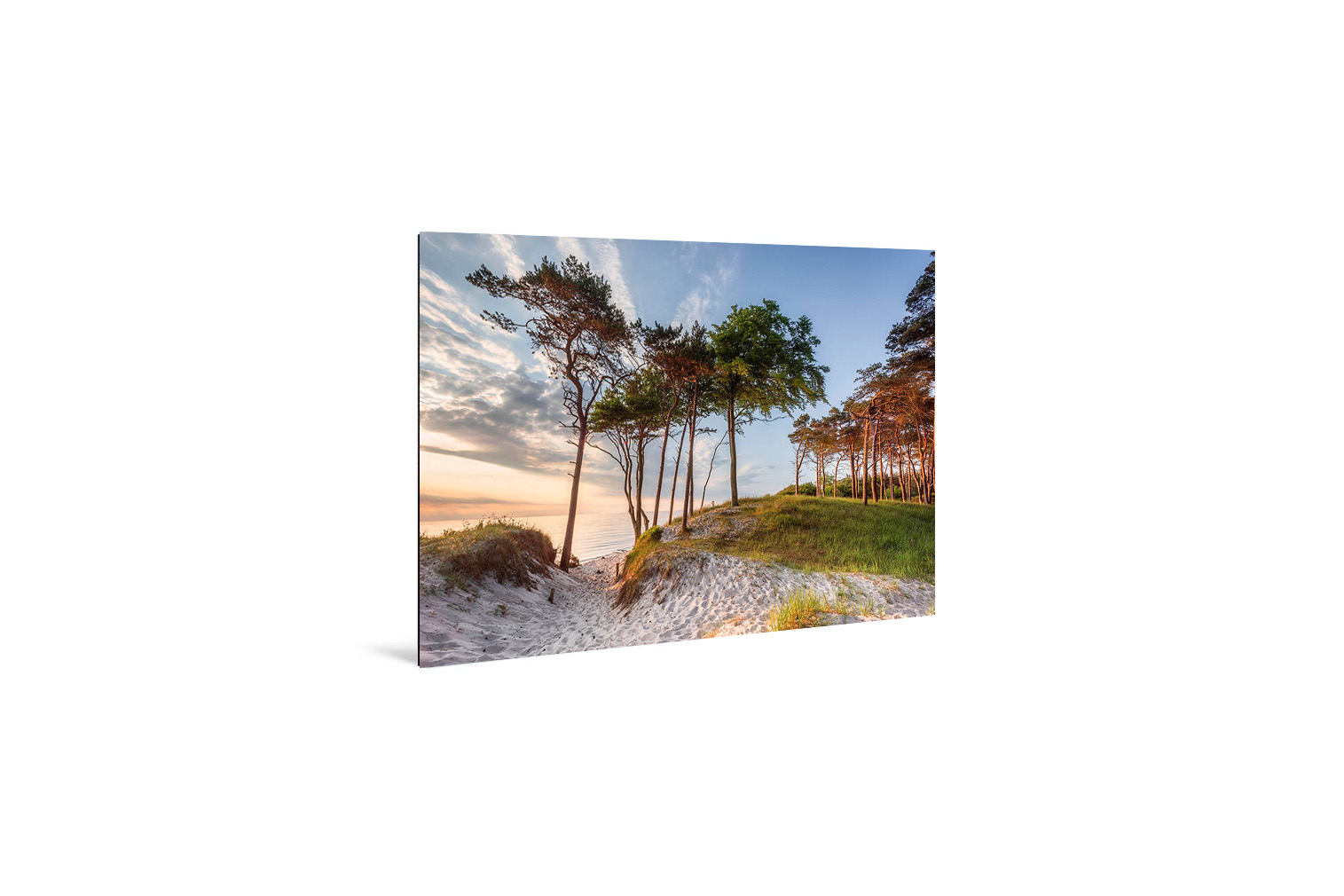 Weststrand Darss 2 – Bild 3