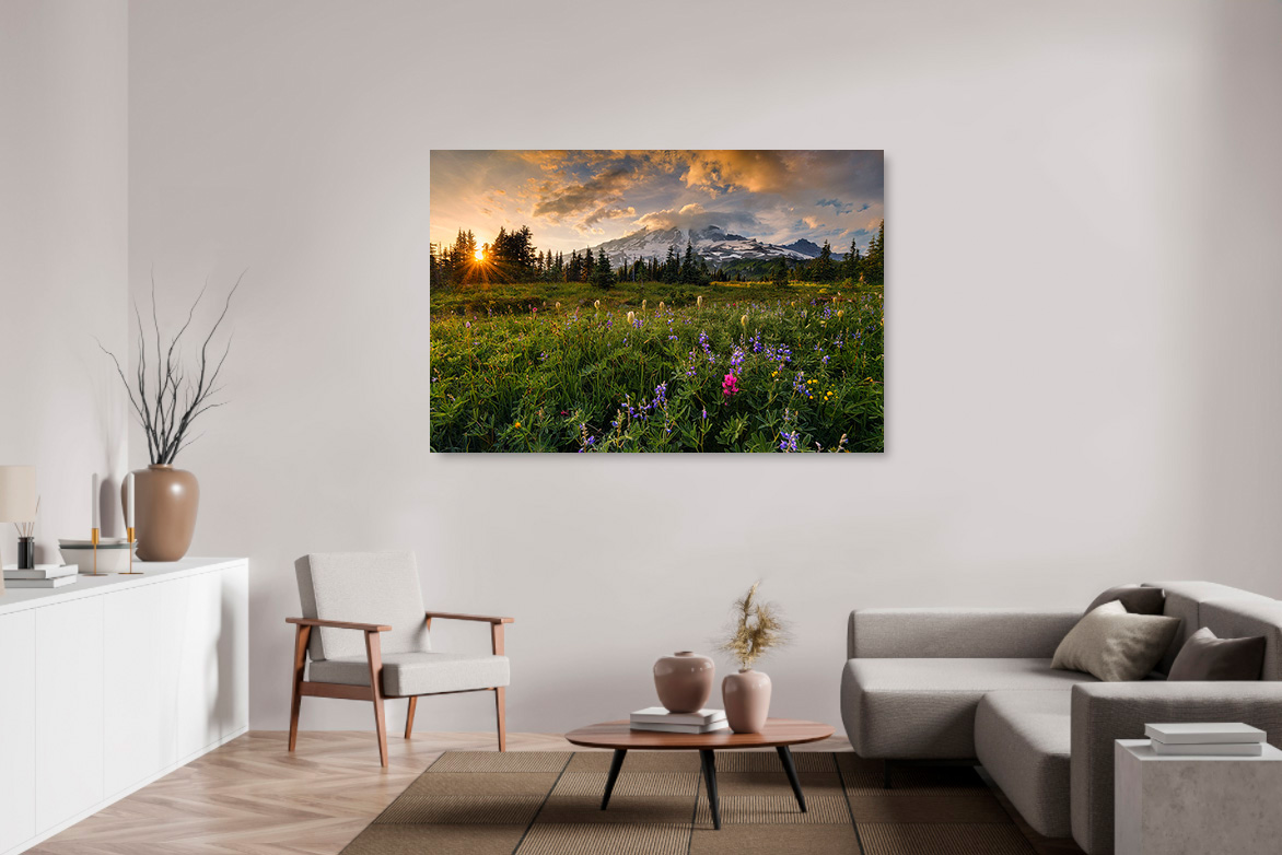 Wildblumenblüte mit Mont Rainier im Hintergrund – Bild 2