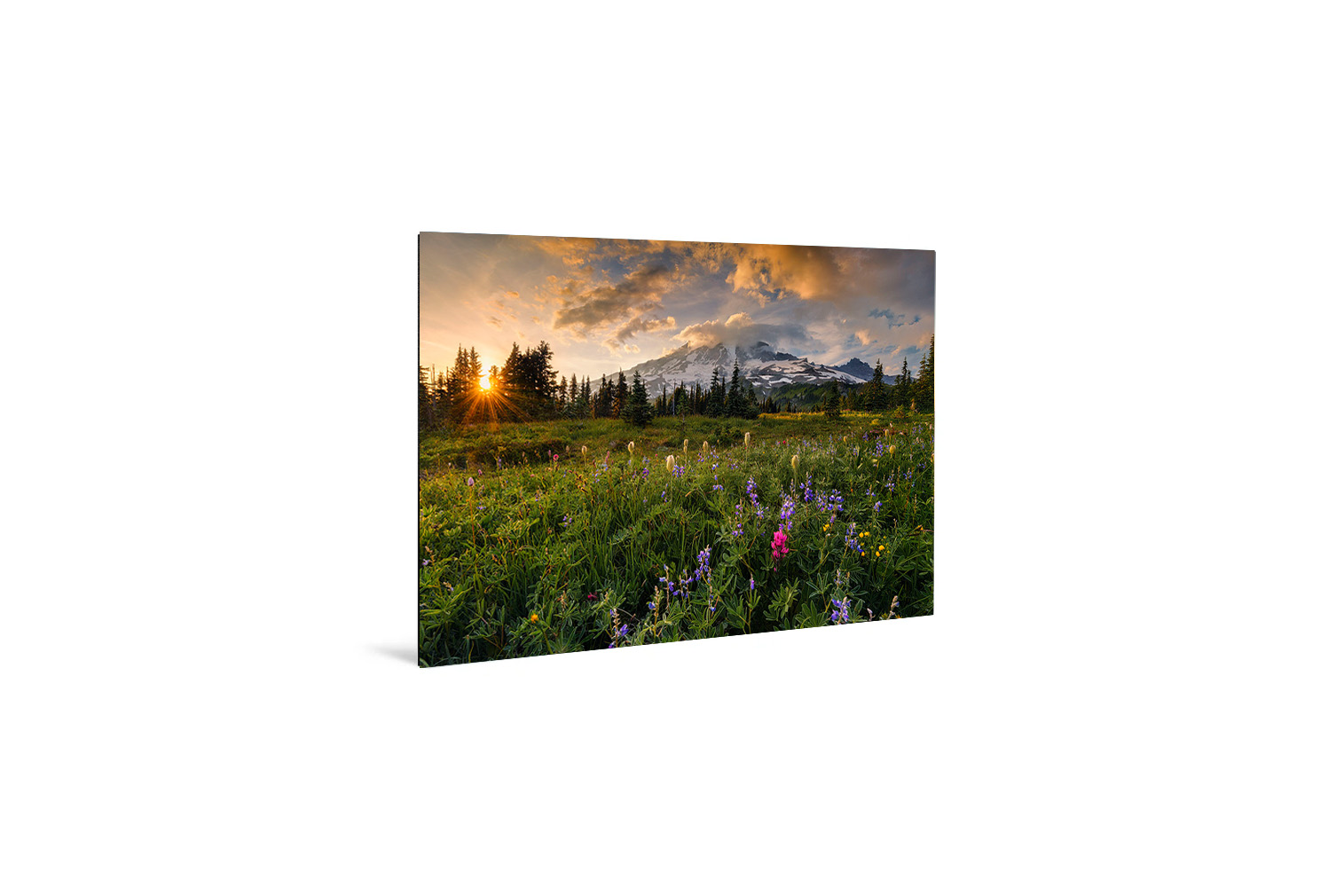 Wildblumenblüte mit Mont Rainier im Hintergrund – Bild 3