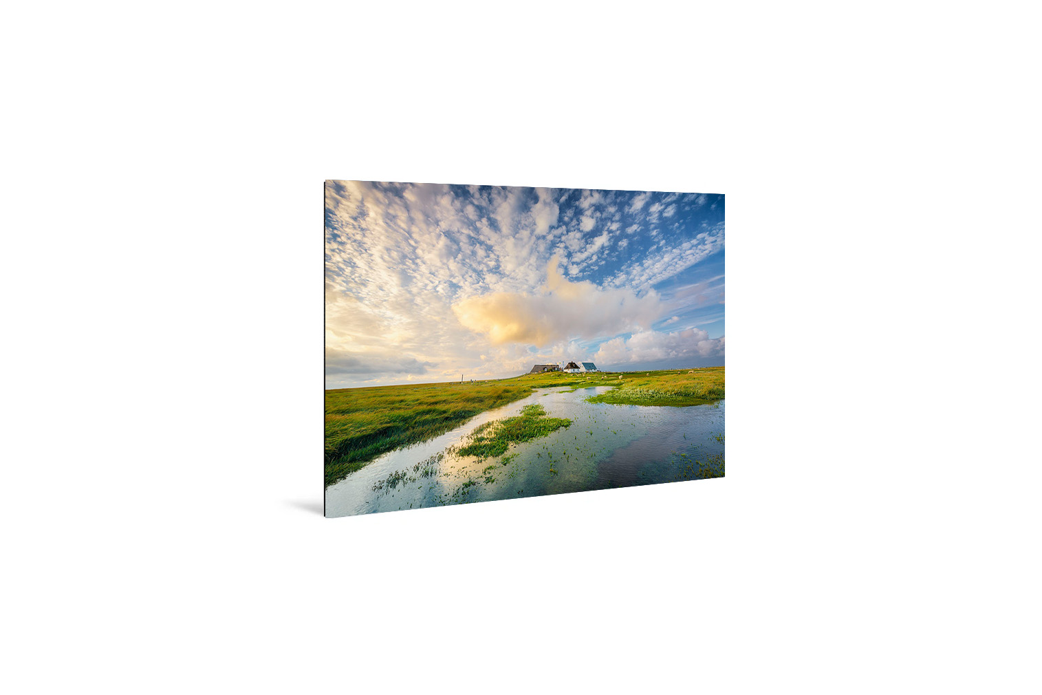 Hamburger Hallig – Bild 3
