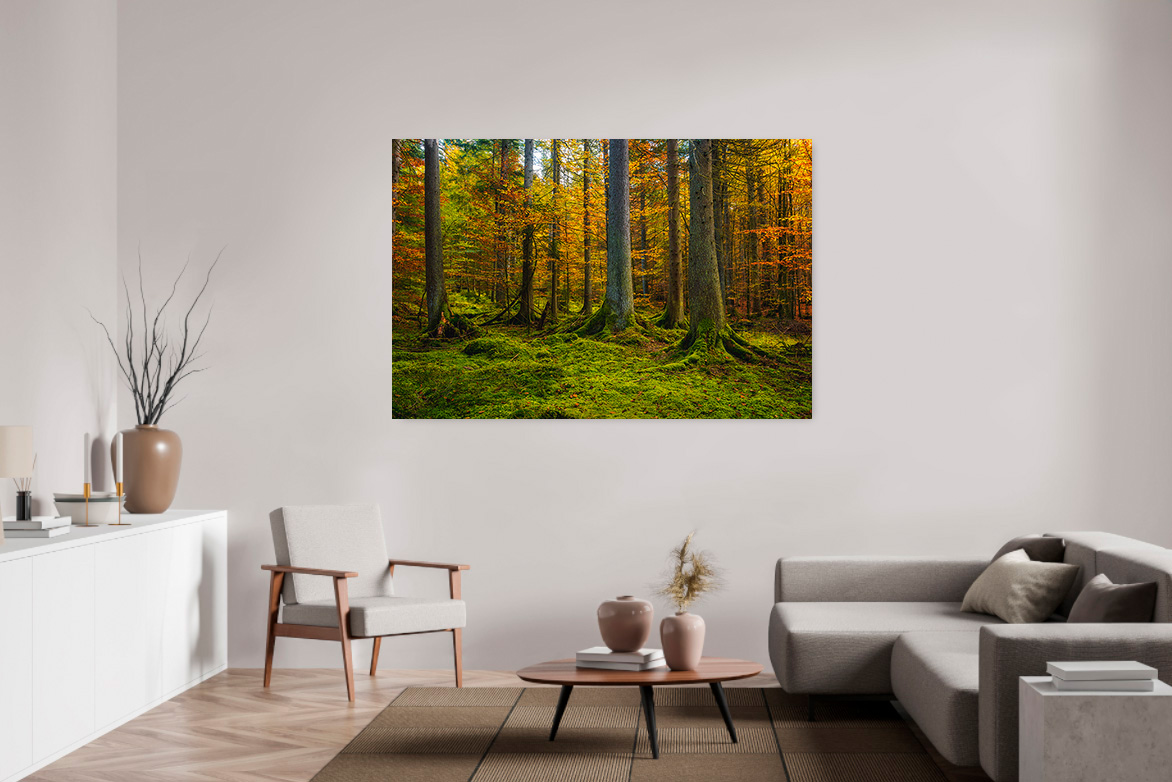 Fichtenwald – Bild 2
