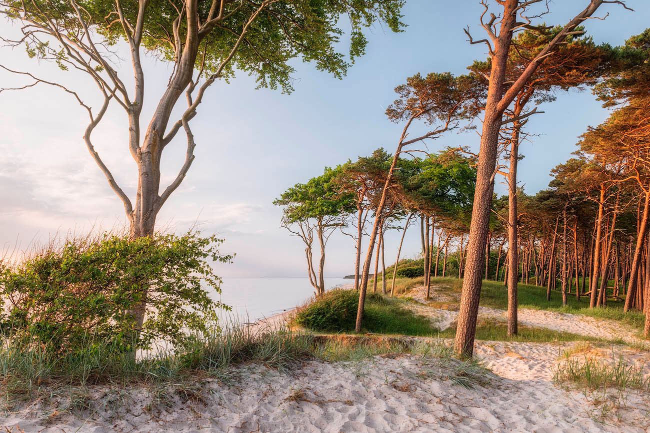 Weststrand Darss 3