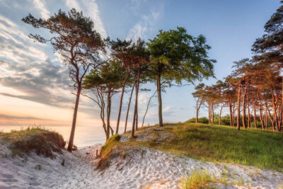 Weststrand Darss 2