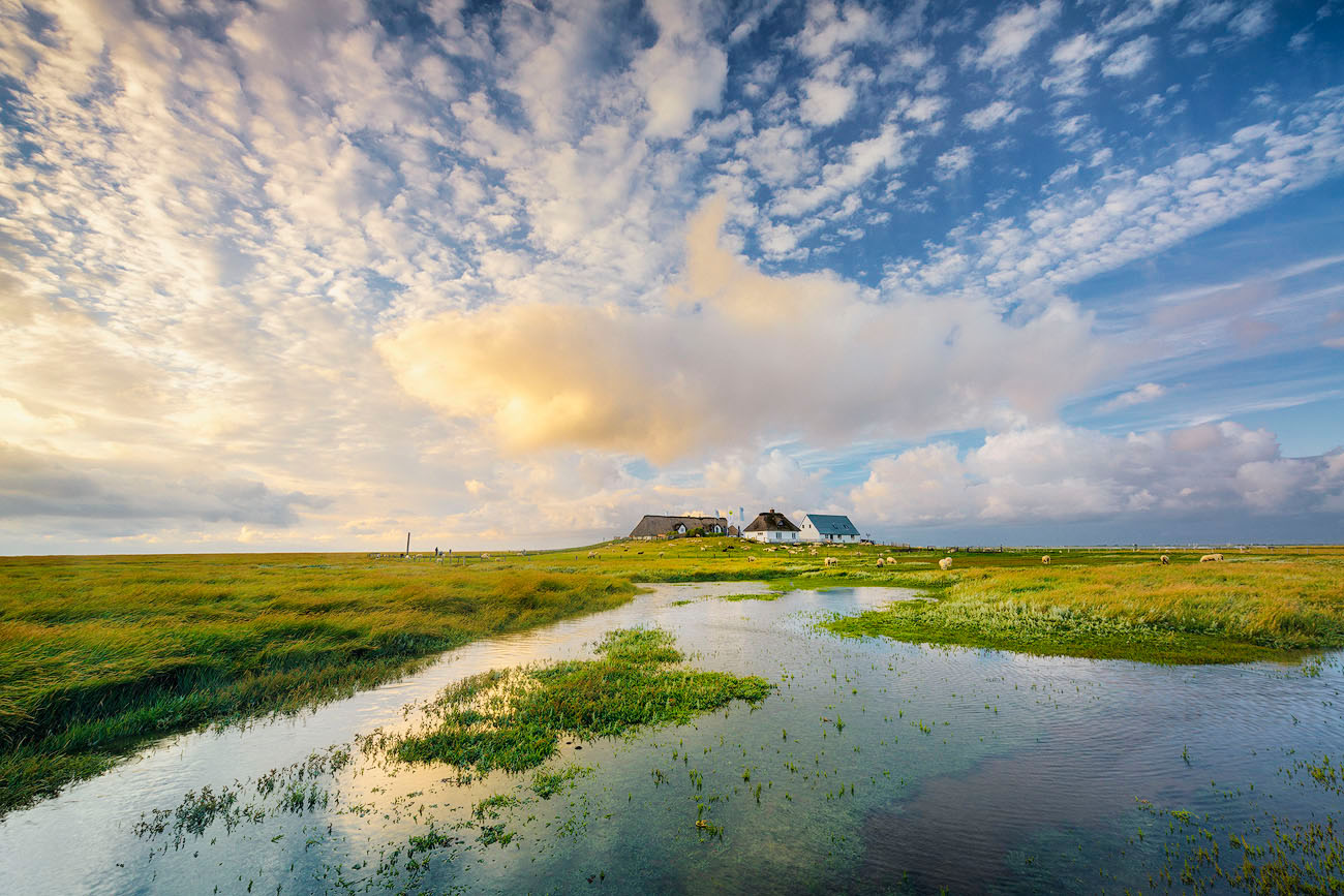 Hamburger Hallig