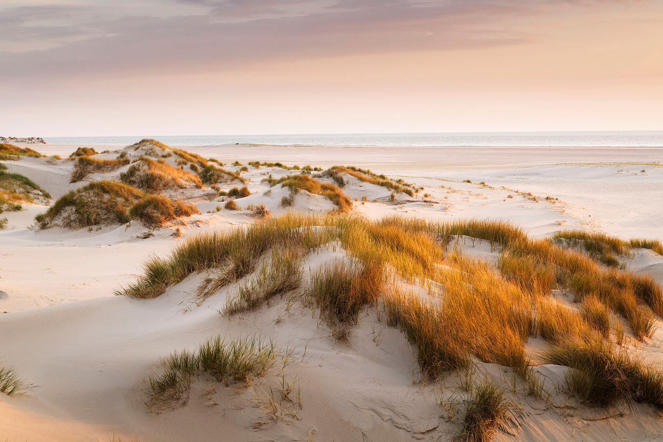 Dünenlandschaft Amrum 1