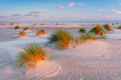 Dünenlandschaft Amrum 3