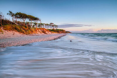 Weststrand Darss 1