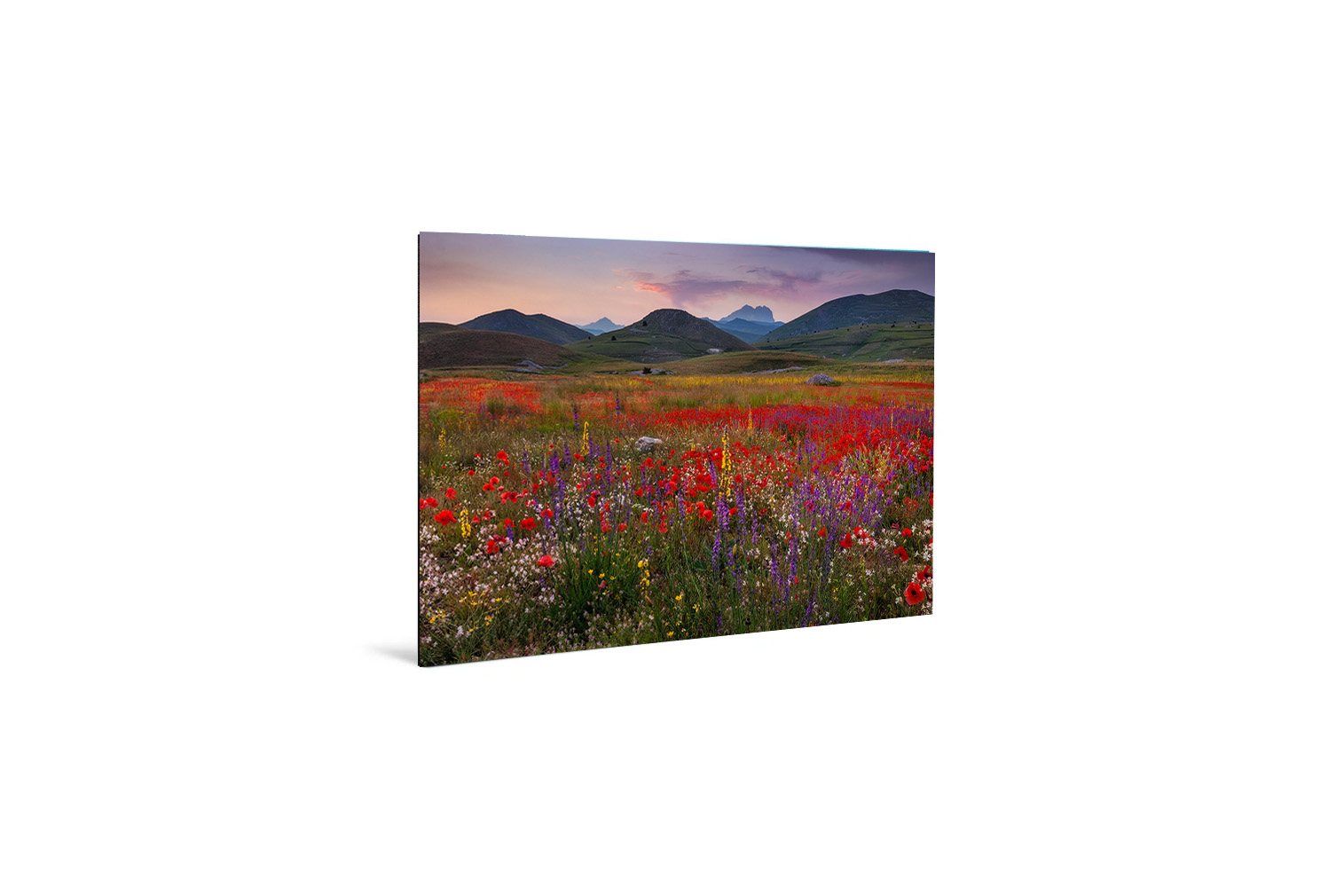 Poppies and Wildflowers – Bild 3