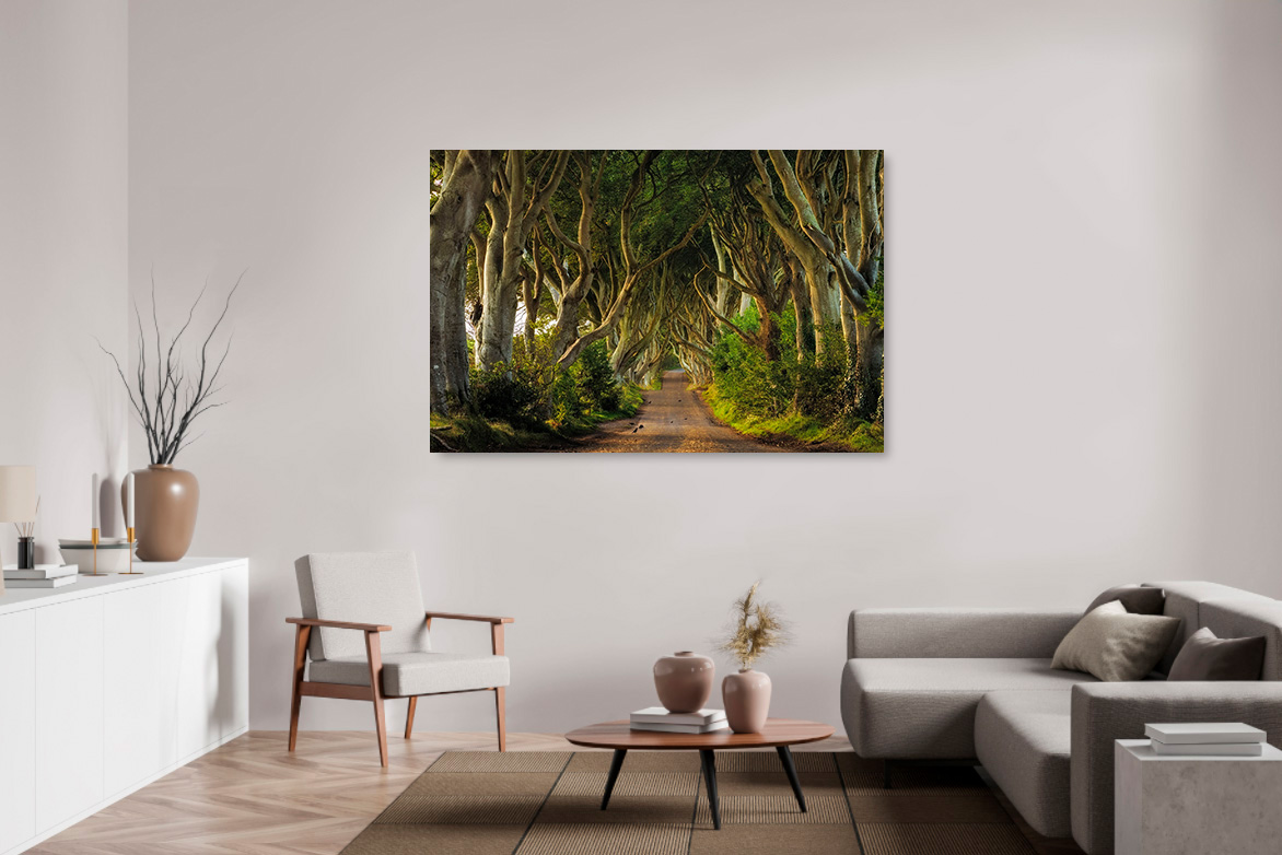 The Dark Hedges – Bild 3