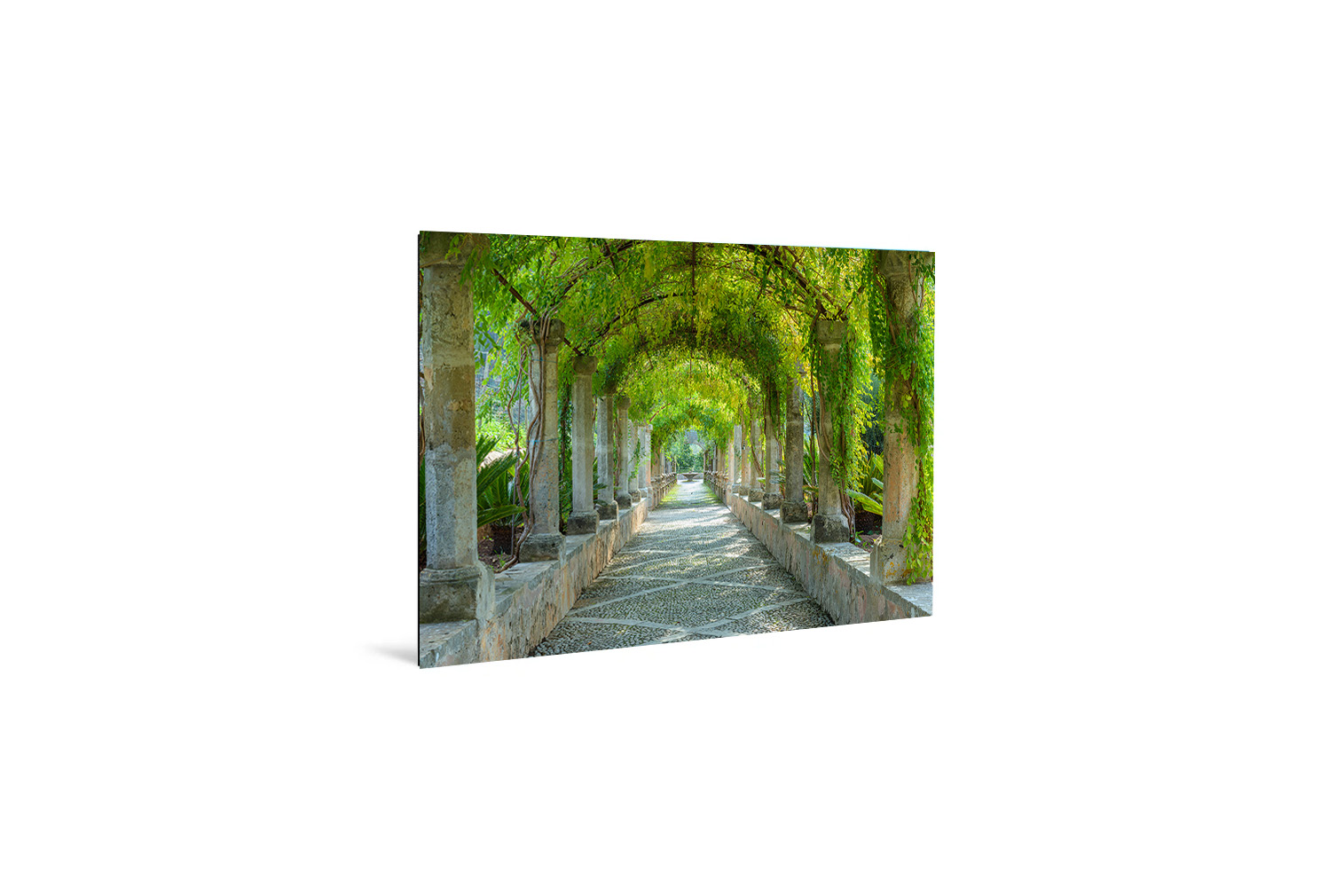 Jardines de Alfabia – Bild 3