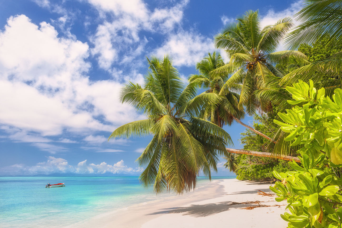 Tropische Insel
