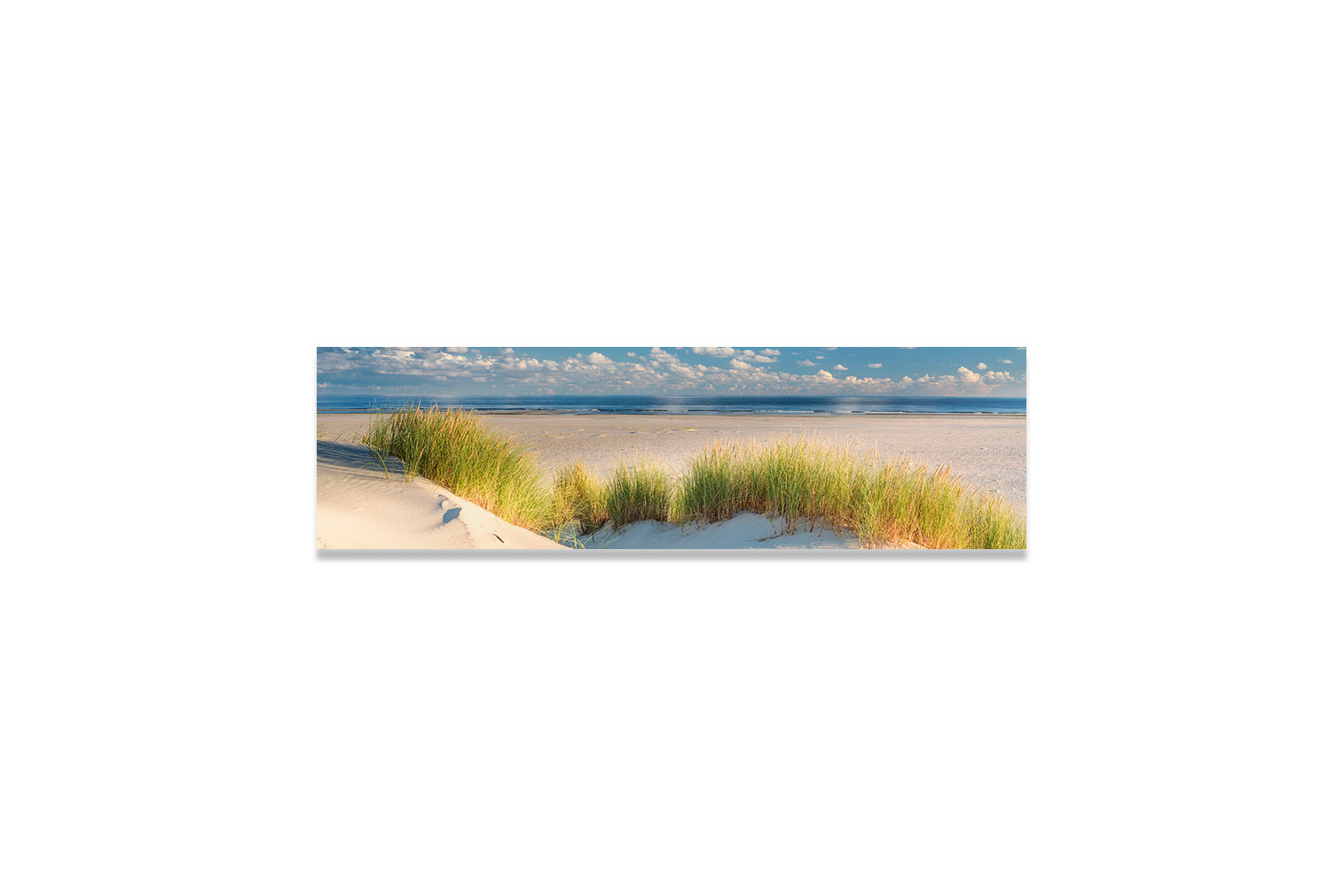 Sanddüne auf Norderney – Bild 3
