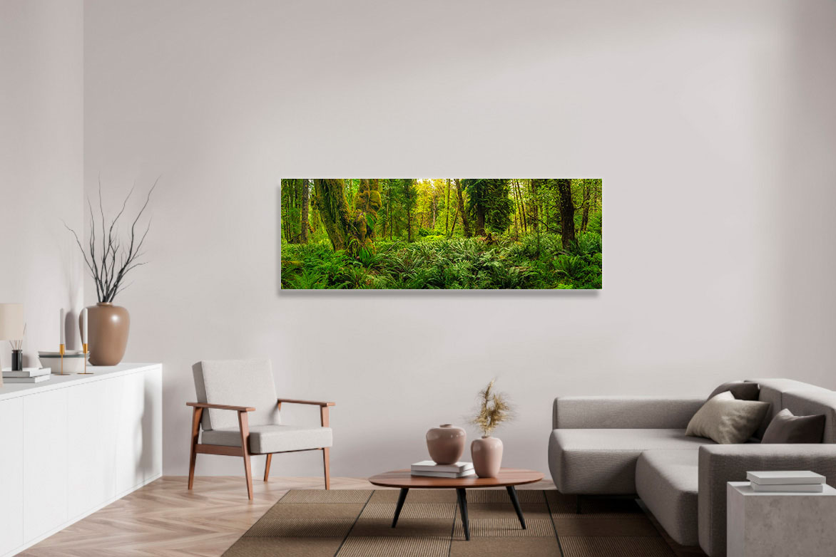 Quinault Rainforest 1 – Bild 2