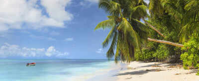 Tropical Beach