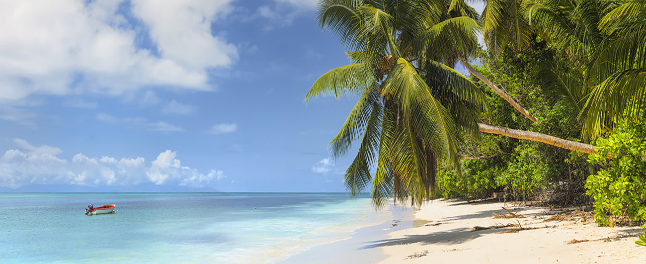 Tropical Beach