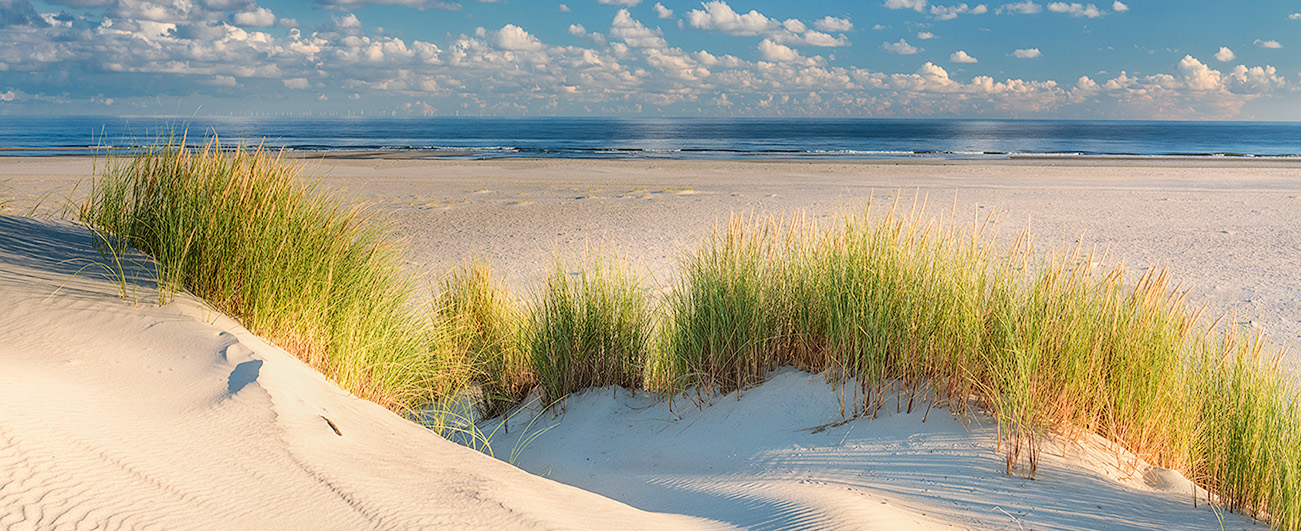 Sanddüne auf Norderney
